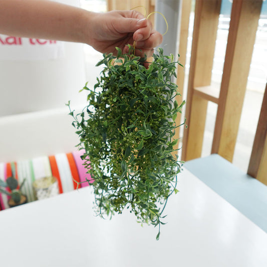 【展示品 30%OFF】COVENT GARDEN コベントガーデン グリーンブッシュ LD-15