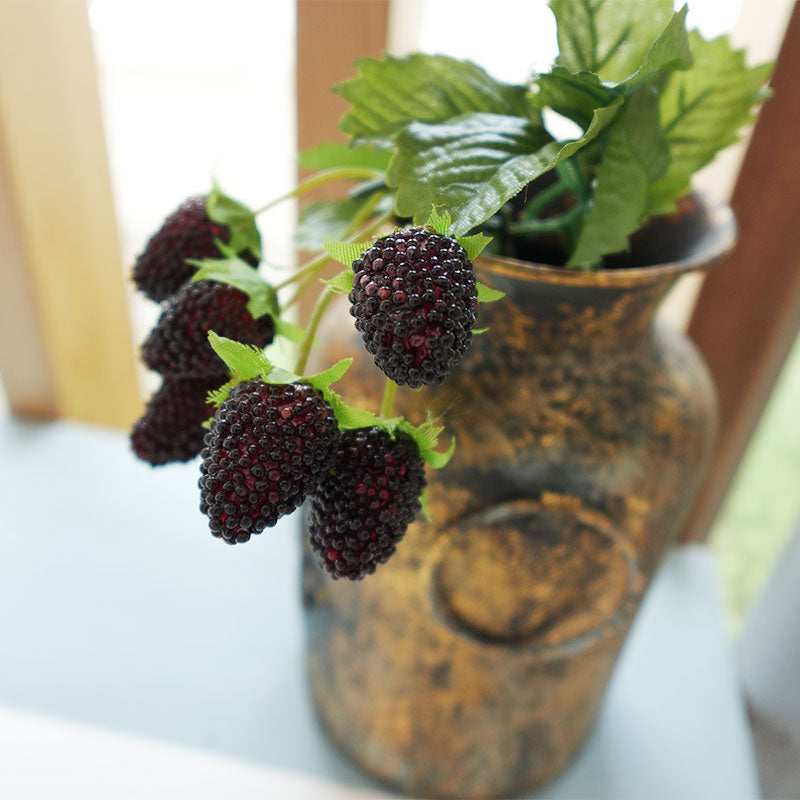 【展示品 30%OFF】COVENT GARDEN コベントガーデン ブラックベリーピック TT-24