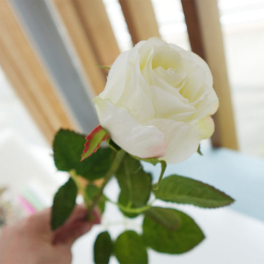 【展示品 30%OFF】COVENT GARDEN コベントガーデン オールドホワイトローズ GR-02