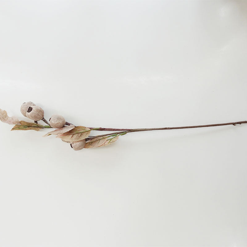 【展示品 30%OFF】COVENT GARDEN コベントガーデン バフシードブランチ TT-37