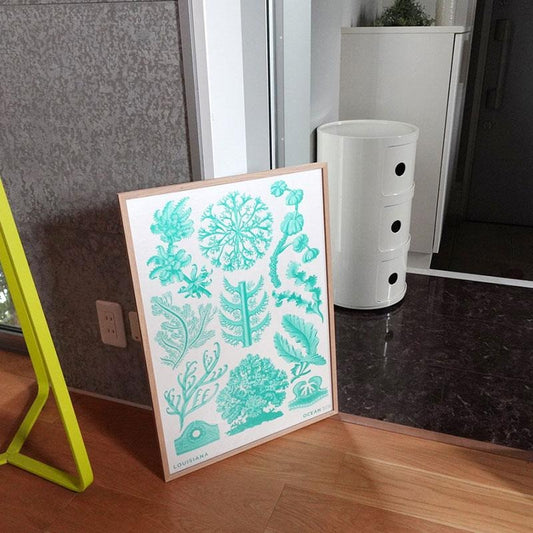 LOUISIANA - Florideae Ocean - gron / MOEBE エルンスト・ヘッケル ポスター フレーム セットA2