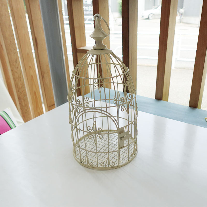 【展示品 30％OFF】COVENT GARDEN コベントガーデン ブランシェ・プランツケージ IC-44