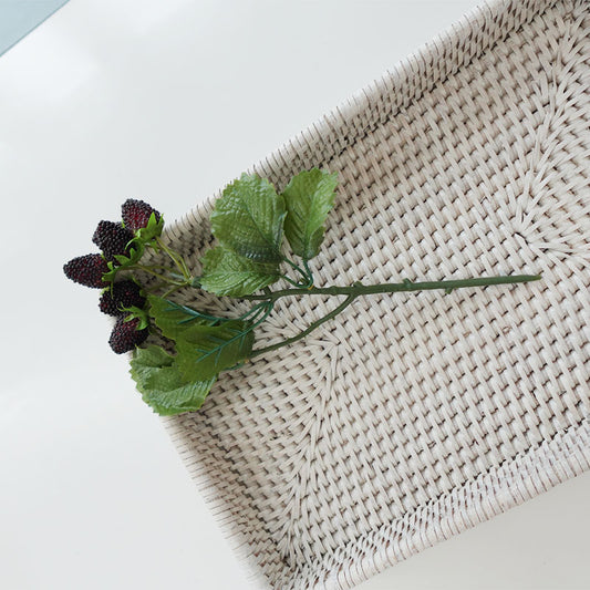 【展示品 30％OFF】COVENT GARDEN コベントガーデン ブラックベリーピック TT-24