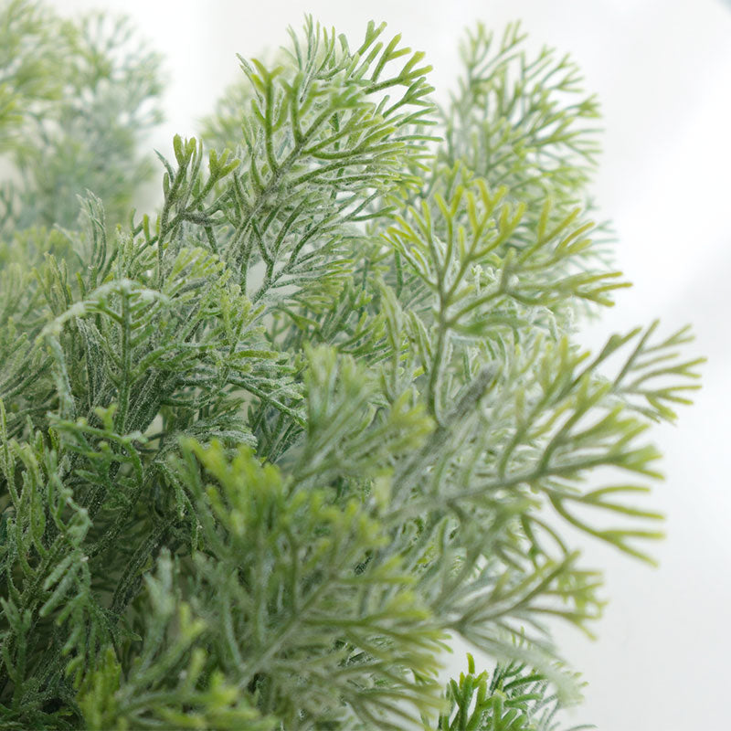 【展示品 30％OFF】COVENT GARDEN コベントガーデン カボンバブッシュ TO-10