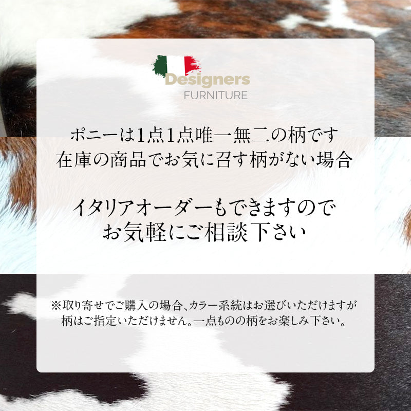 イタリア直輸入 即納 Le Corbusier / ル・コルビジェ LC4 シェーズ