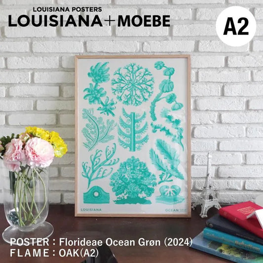 LOUISIANA - Florideae Ocean - gron / MOEBE エルンスト・ヘッケル ポスター フレーム セットA2